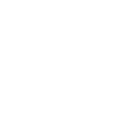 Homeowner icon