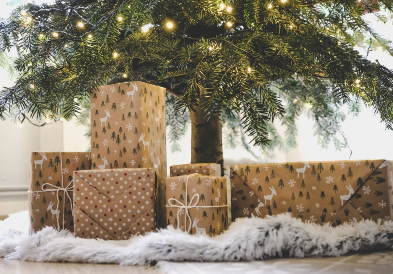 Screenshot 2025 12 15 120253