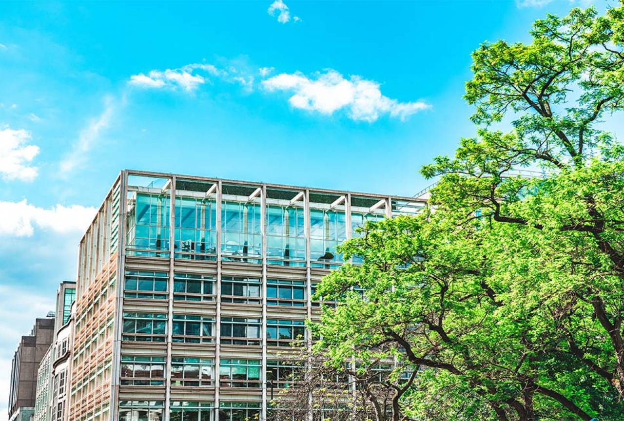 Offices on street with trees ScaleWidthWzEyODBd